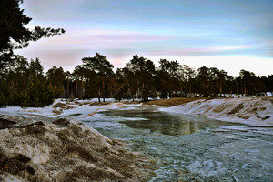 Image-preview_300x200