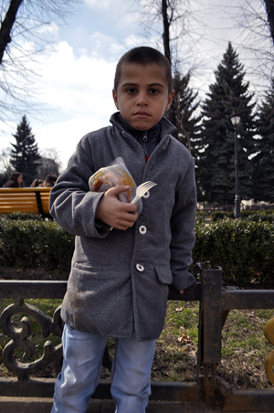 Image-preview_300x200