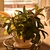 Image-square_50