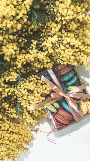 Image-preview_300x200