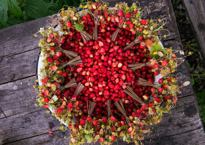 Image-preview_300x200