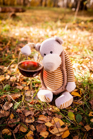 Image-preview_300x200