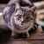 Image-square_50