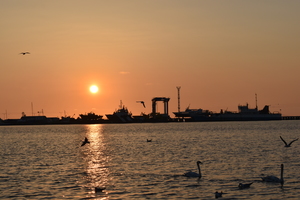 Image-preview_300x200