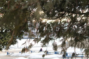 Image-preview_300x200