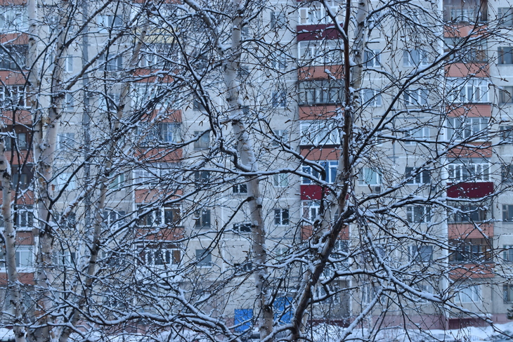 Image-normal