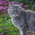 Image-square_50