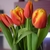 Image-square_50