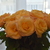 Image-square_50