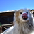 Image-square_50