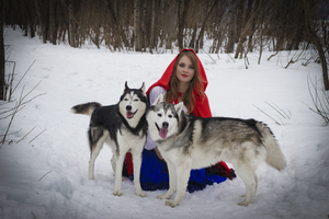 Image-preview_300x200