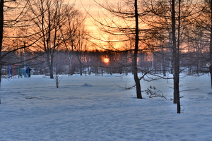 Image-preview_300x200