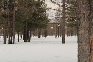Image-preview_300x200