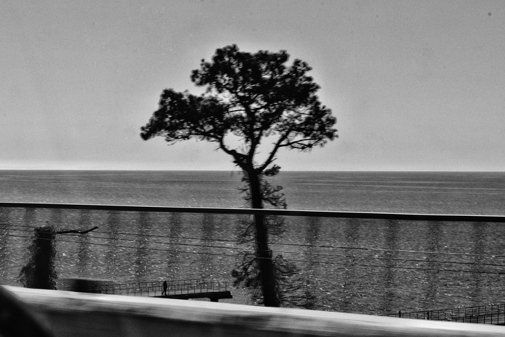 Image-normal