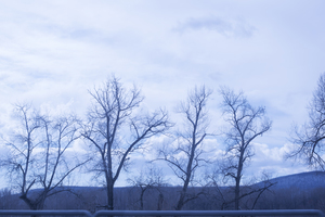 Image-preview_300x200