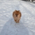 Image-square_50