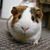 Image-square_50