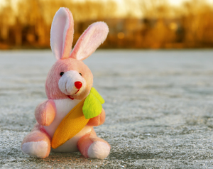 Image-preview_300x200