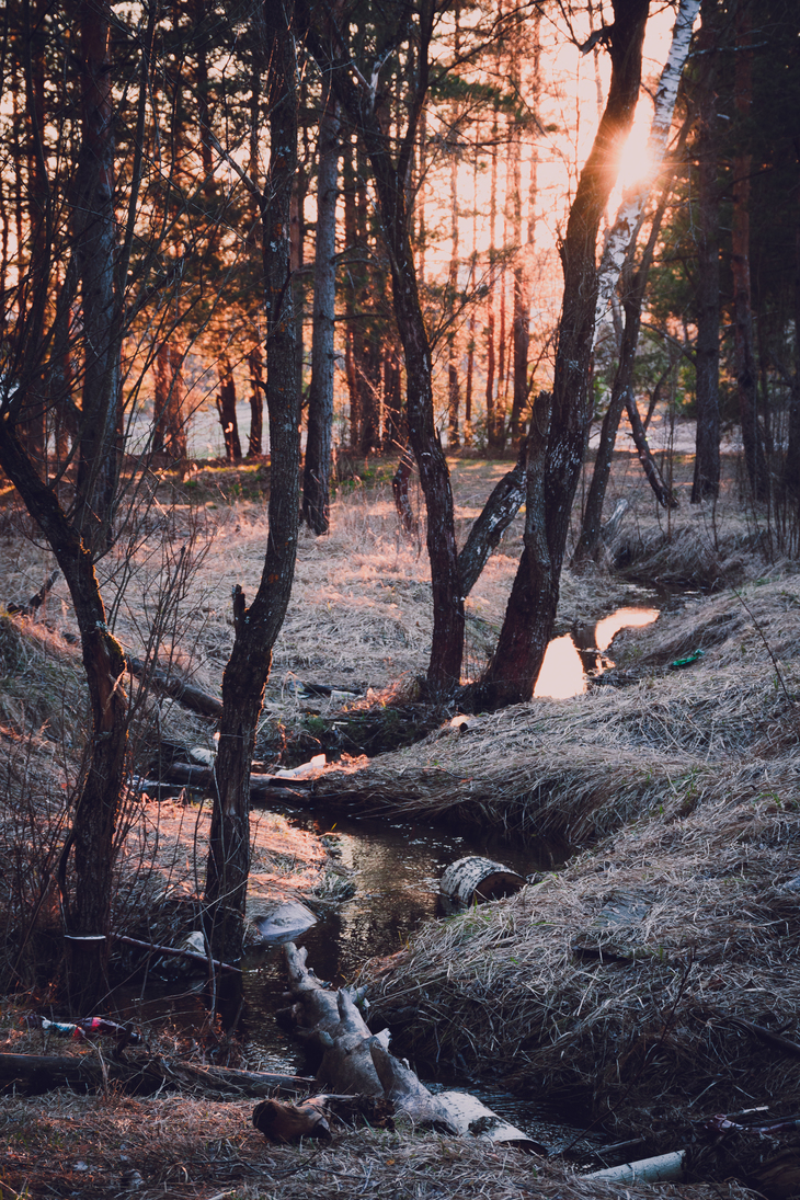 Image-normal