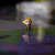 Image-square_50
