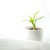 Image-square_50