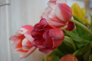 Image-preview_300x200