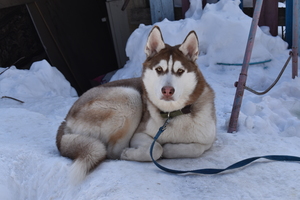 Image-preview_300x200