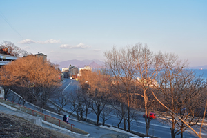 Image-preview_300x200