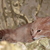 Image-square_50