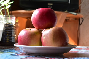 Image-preview_300x200