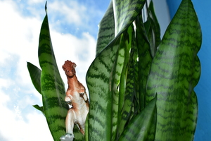Image-preview_300x200