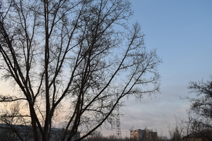 Image-preview_300x200