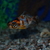 Image-square_50