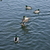 Image-square_50