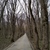 Image-square_50