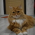 Image-square_50