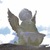 Image-square_50