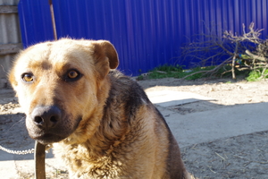 Image-preview_300x200