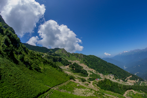 Image-preview_300x200