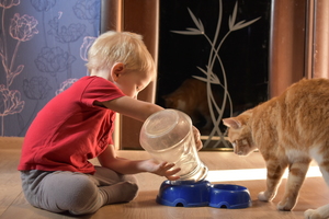 Image-preview_300x200