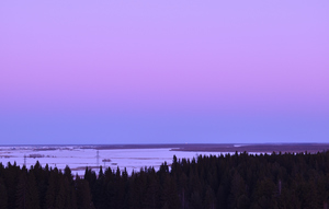 Image-preview_300x200