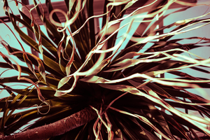 Image-preview_300x200