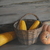 Image-square_50