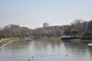 Image-preview_300x200