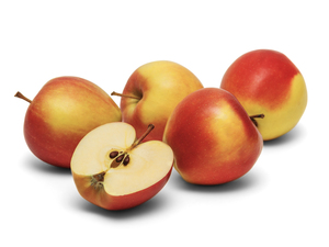 Image-preview_300x200