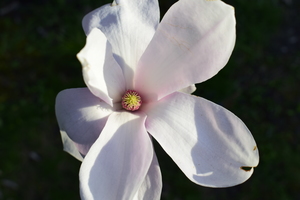 Image-preview_300x200