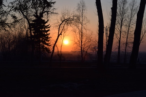 Image-preview_300x200