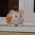 Image-square_50