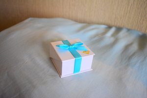 Image-preview_300x200