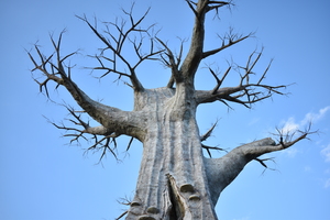 Image-preview_300x200